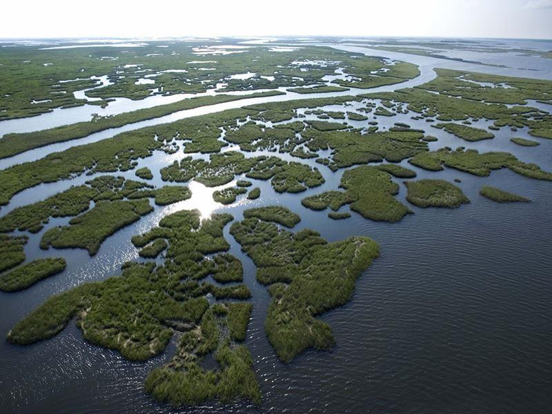 louisiana swamps aerial view
